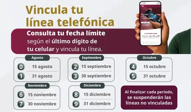 calendario para registro de celulares